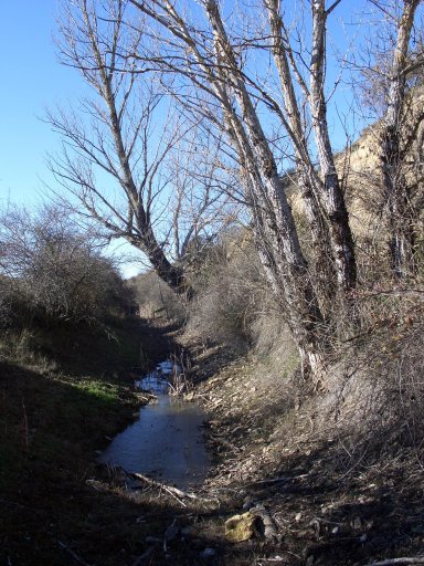 Otra de las lagunas, muchas de origen artificial pero antiguo, existentes en los abarrancamientos de la Varenosa