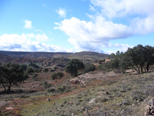 La zona de las Peñuelas vista desde La Raposera. Paisaje rocoso salpicado de encinas. Al fondo, molino de El Polvorín, a la derecha el castillo